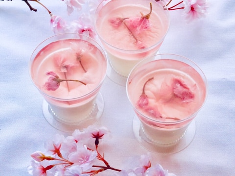 桜のゼリーとパンナコッタ